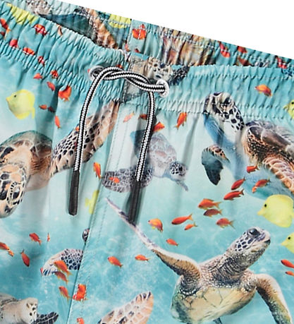 Molo Swim Shorts - UV50+ - Niko - Marine Turtles
