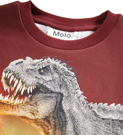 Molo Collegegenser - Blanding - Dino Landskap
