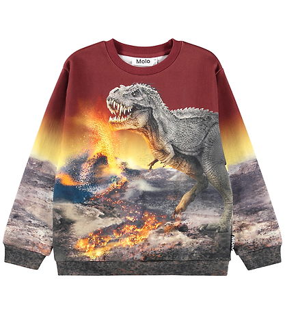 Molo Collegegenser - Blanding - Dino Landskap