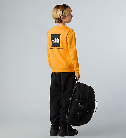The North Face Sweatshirt - Reg Crew - Summit Gold w. Print