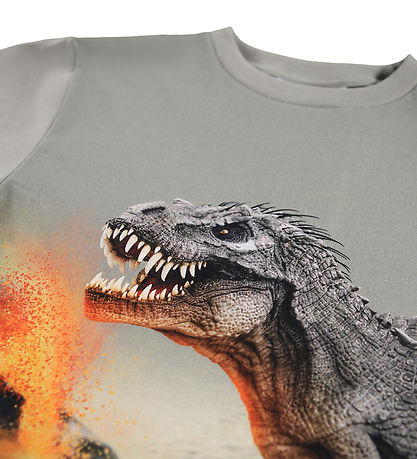 Molo Blouse - Rube - Dinosaur Fog