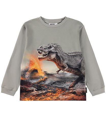 Molo Blouse - Rube - Dinosaur Fog