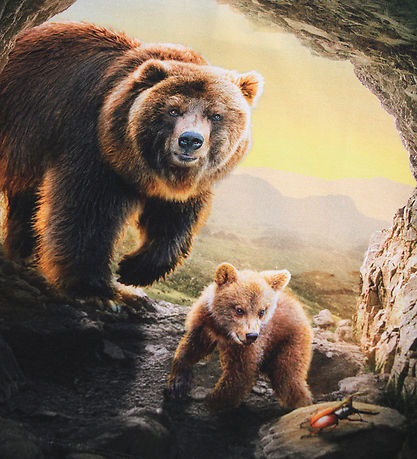 Molo Blouse - Reif - Bears in Cave