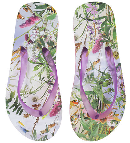Molo Flip Flops - Zeppo - Wild Nature