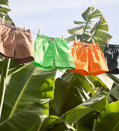 Molo Badshorts - UV50+ - Niko Solid - Green Vibes