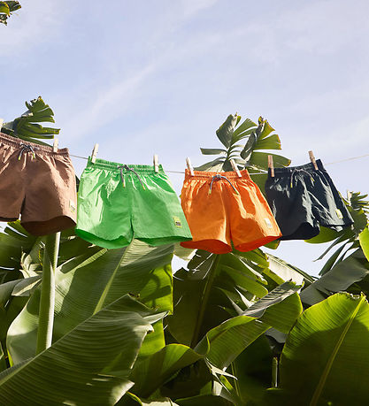 Molo Badshorts - UV50+ - Niko Solid - Trä Green
