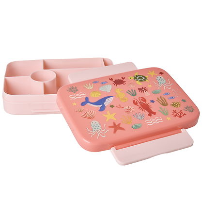 Rice Lunchbox - 6 Rum - Ocean Print - Coral
