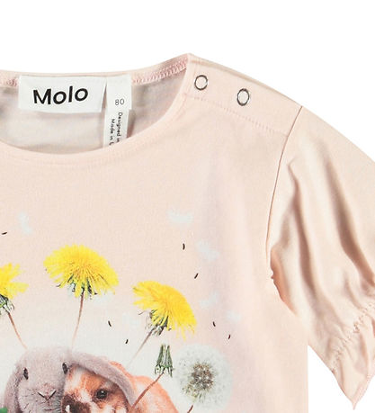 Molo T-shirt - Elina - Rabbit Friends
