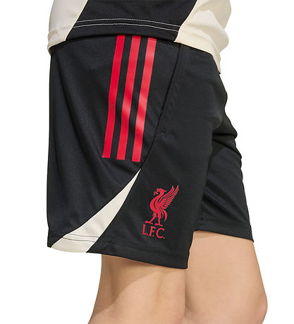 adidas Performance Shorts - Liverpool - Black