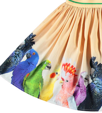 Molo Pils - Brenda - Rainbow Parrots