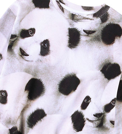 Molo Peysa - Monti - Giant Panda