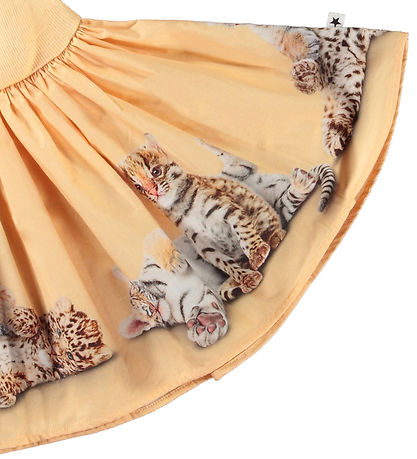 Molo Kleid - Carin - Cubs United
