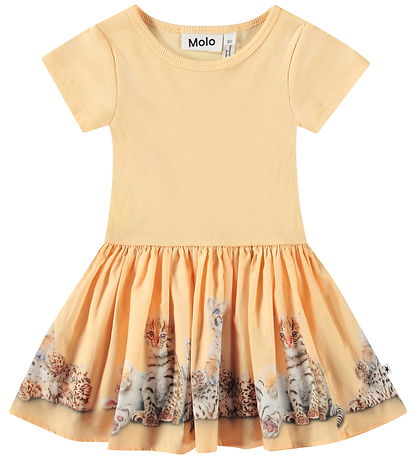 Molo Kleid - Carin - Cubs United