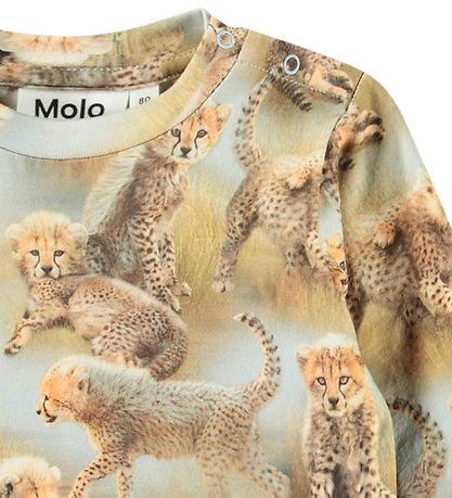 Molo Blouse - Eloy - Cheetah Cubs