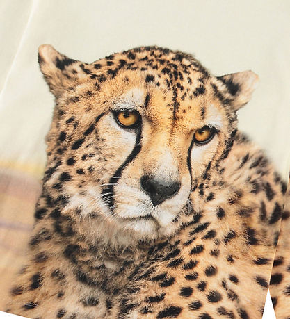 Molo Blouse - Rollo - BIG Cheetah Light