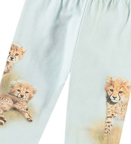 Molo Trousers - Simway - Cheetahs Cute