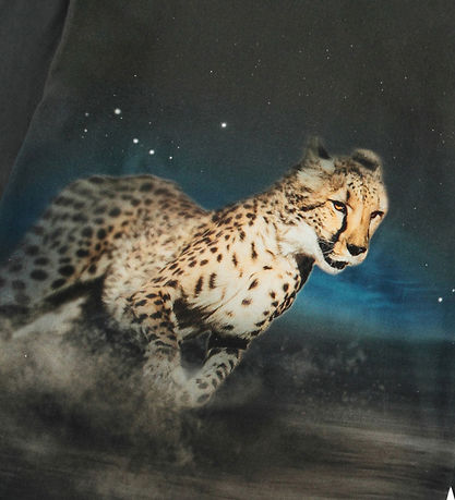 Molo Blouse - Rube - Cheetah Run