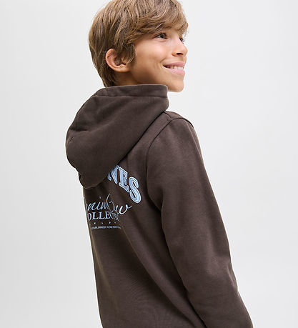 Jack & Jones Kapuzenpullover - JjeBrandes - Delicioso