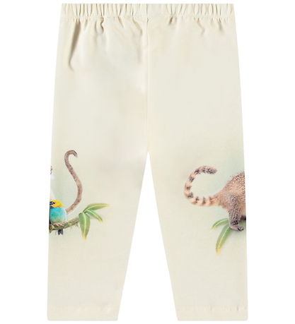 Molo Broek - Simway - Vriendelijk Jungle