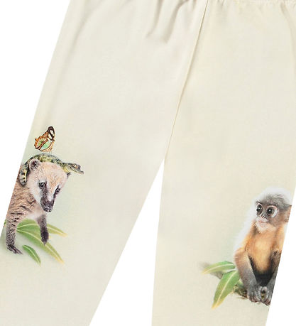 Molo Broek - Simway - Vriendelijk Jungle