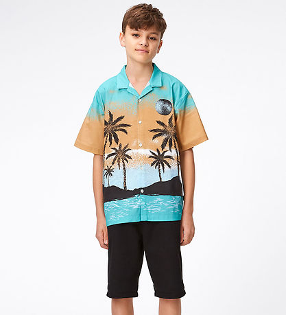 Molo Shorts - Alan - Black