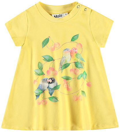 Molo Kleid - Cosimo - Love Birds Dress