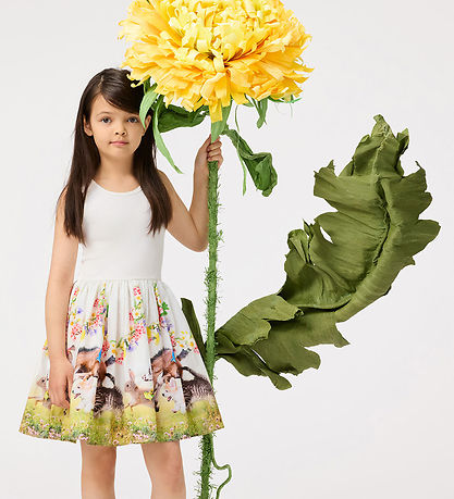 Molo Dress - Cassandra - Joy Run