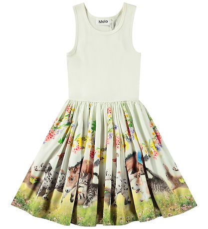 Molo Dress - Cassandra - Joy Run