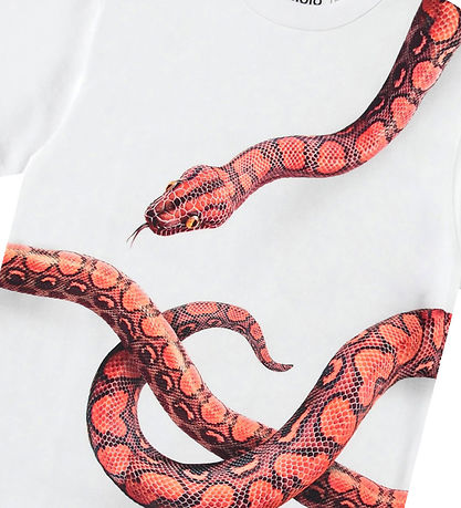 Molo T-Shirt - Rubin - Rot Snake