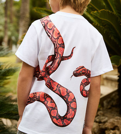 Molo T-Shirt - Rubin - Rot Snake