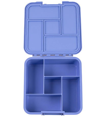MontiiCo Lunchbox w. 5 Rum - Bento Five - 980 mL - Splash