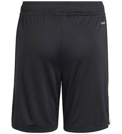 adidas Originals Shorts - FC Bayern Munich 25/26 3. Set - Black