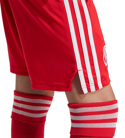 adidas Originals Shorts - FC Bayern Munich 25/26 - Pure Ruby