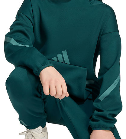 adidas Performance Kapuzenpullover - Z.N.E. - Aurora Efeu/gelieb