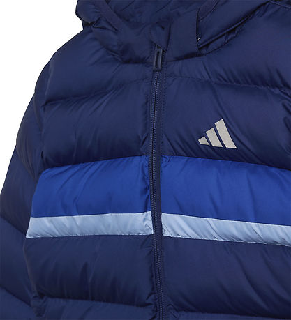 adidas Performance Vadderad jacka - Dark Blue/Royal Blue/Glow Bl