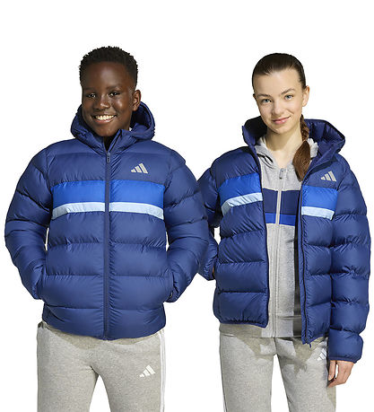adidas Performance Vadderad jacka - Dark Blue/Royal Blue/Glow Bl