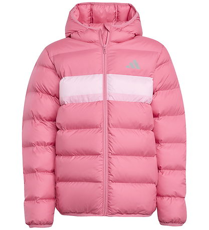 adidas Performance Fóðraður jakki - Bleikt Samruni/Bleikt/True P