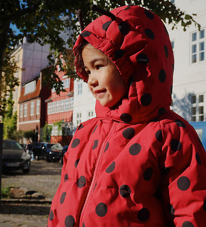 Konges Sløjd Puffer Jacket - Nuka - Ladybug - Lady Dot