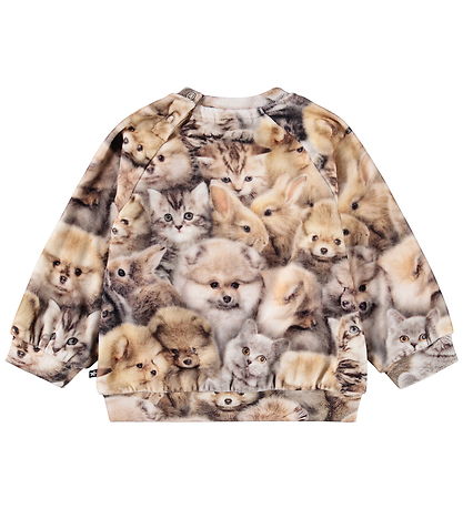 Molo Sweatshirt - Scheibe - Fuzzy Fluffy