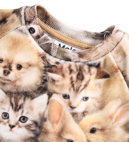 Molo Sweatshirt - Scheibe - Fuzzy Fluffy