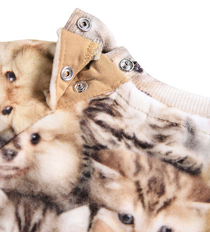Molo Sweatshirt - Scheibe - Fuzzy Fluffy