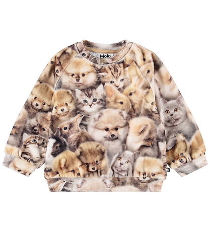 Molo Sweatshirt - Scheibe - Fuzzy Fluffy
