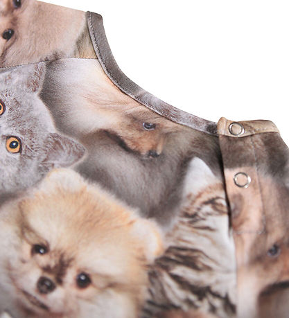 Molo Kleid - Charmaine - Fuzzy Fluffy