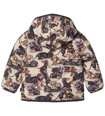 Molo Puffer Jacket - Harmony - Dachshund Soft