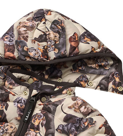 Molo Puffer Jacket - Harmony - Dachshund Soft