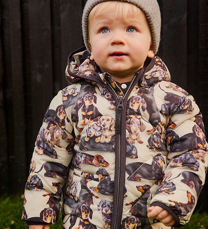 Molo Puffer Jacket - Harmony - Dachshund Soft