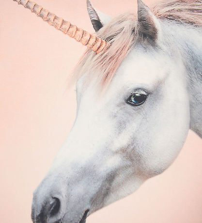 Molo Blússa - Mountoo - Fæddur Unicorn