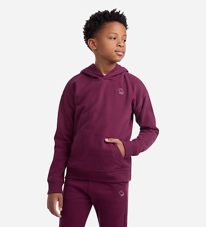 Abercrombie & Fitch Kapuzenpullover - Fig