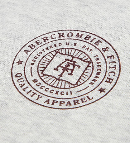 Abercrombie & Fitch Kapuzenpullover - Hellgrau-Meliert m. Print