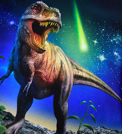 Molo Blouse - Reif - Meteor Dino